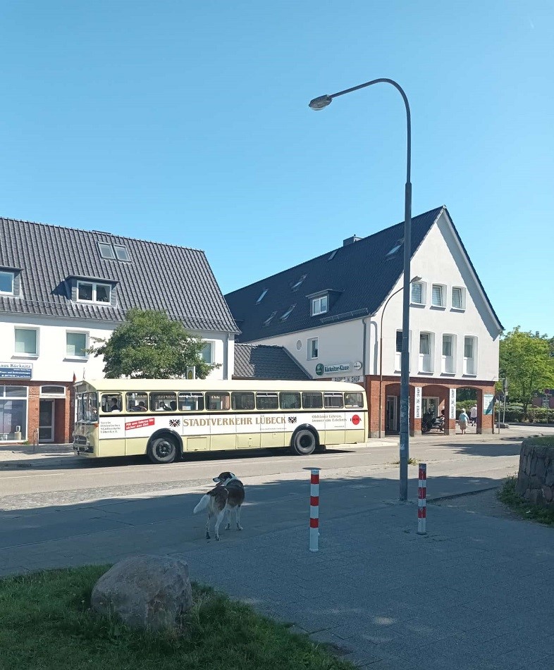 100 Jahre Busverkehr Lübeck - Travemünde 2025